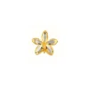 Aeridovanda Vieng Ping Orchid Brooch/Pendant (PG)
