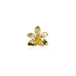 Doritaenopsis Summer Red Orchid Brooch/Pendant (PG)