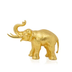 Jubilant Elephant