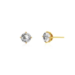 Majestic Vanda Earrings with White Topaz