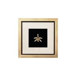 Oncidium Orchid Frame
