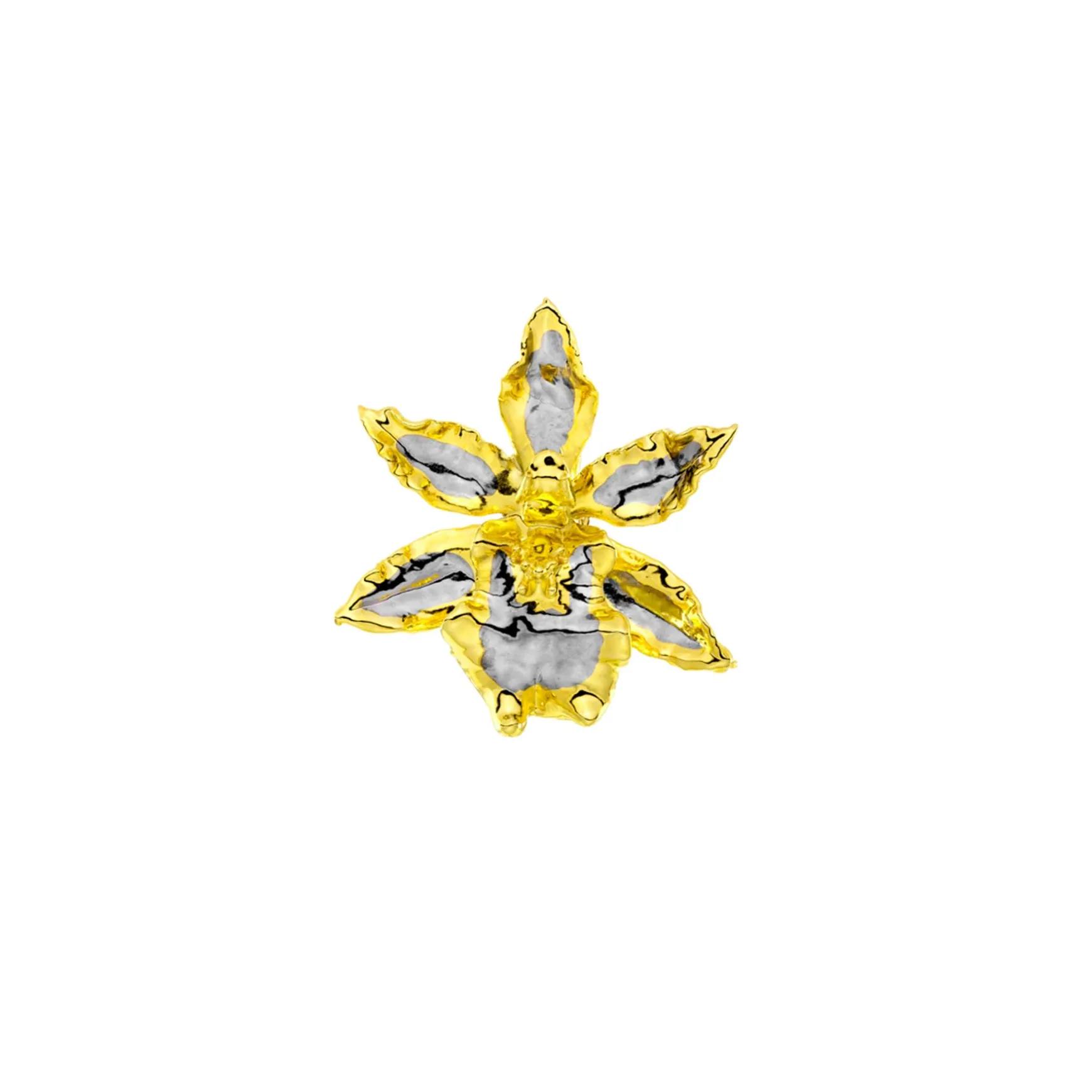Oncidium Wildcat Orchid Brooch/Pendant (PG)