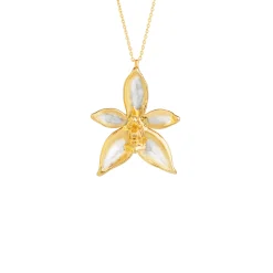 Phalaenopsis Cornu Cervi Orchid Necklace in Gold & Palladium