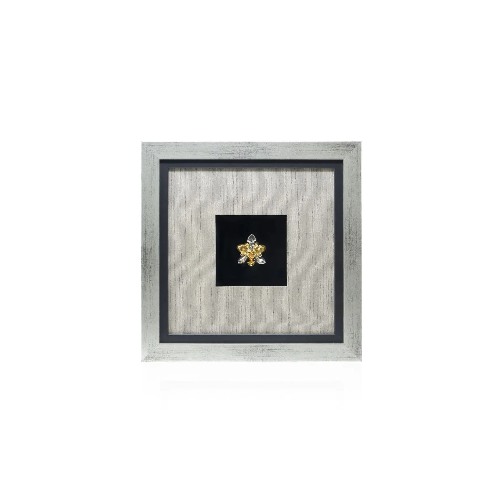 Phalaenopsis Cross Orchid Frame